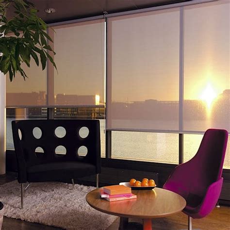 Enhance Your Office Space with Magic Screen Roller Blinds
